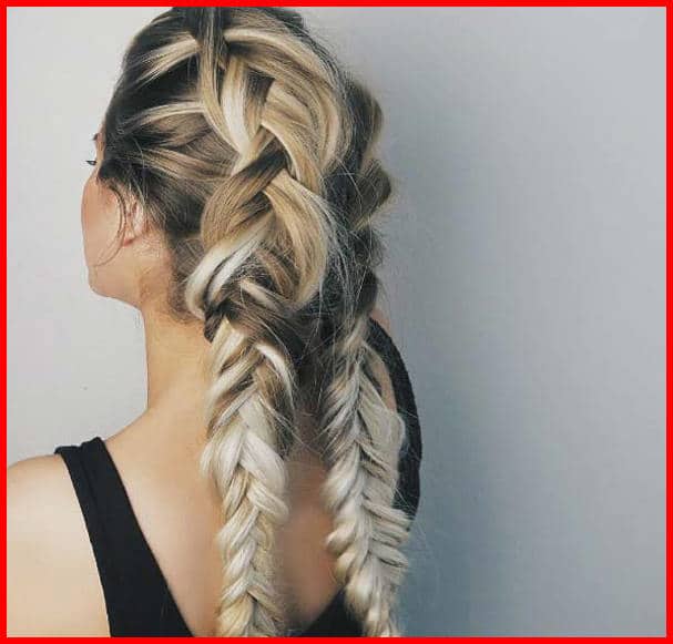 Double Dutch Fishtail Braids | Short Hair Models