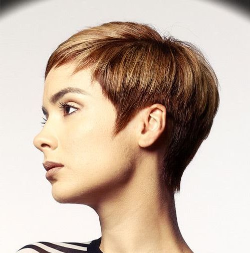 Undercut pixie hair cuts back view