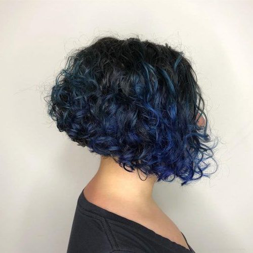 short curly pixie bob