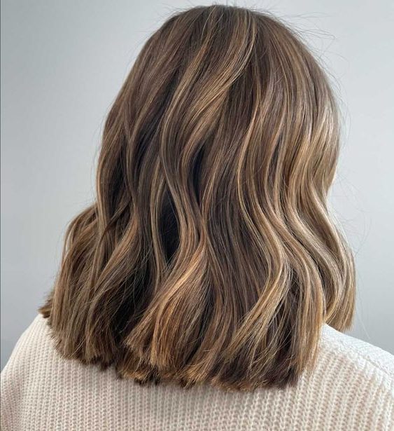 brown hair with blonde highlights