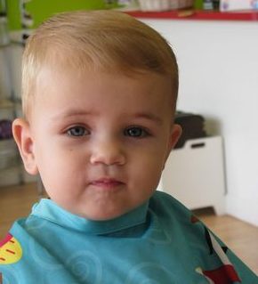 toddler boy haircut