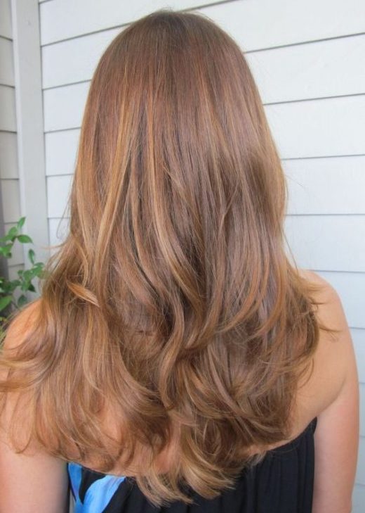 brown hair with blonde highlights