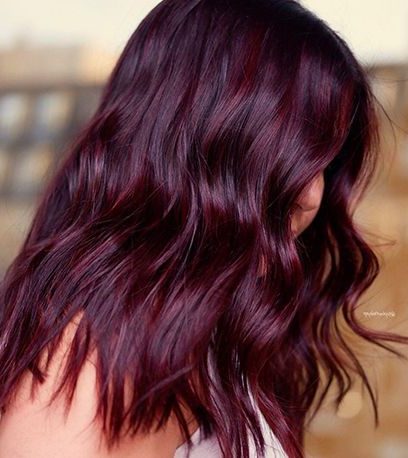 chocolate cherry black cherry hair color